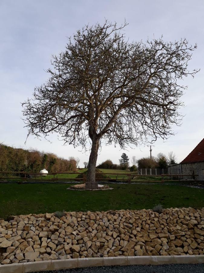 Gite " Le Vieux Noyer" Liesville-sur-Douve Exteriér fotografie
